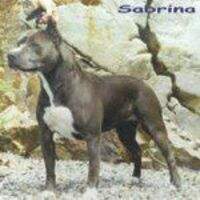 Royal Court Sabrina Of Dauntless Royal Court Sabrina Of Dauntless