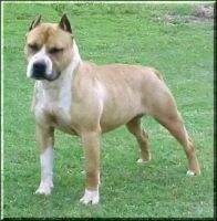 Benmar's Million Dollar Baby
