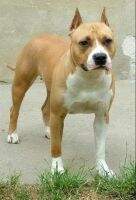 Juddy Elegant Of Cole