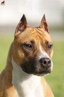 Blue River's RU Olivia