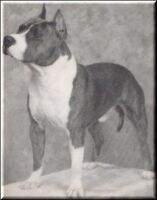 Ruffian Hercules Of Harwyn Ruffian Hercules Of Harwyn