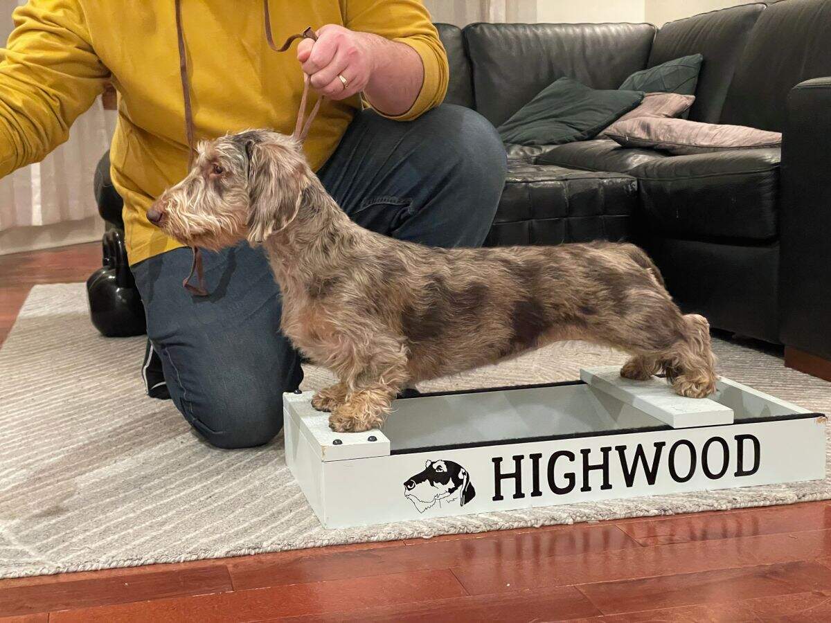 Highwood's Cocoa Bean