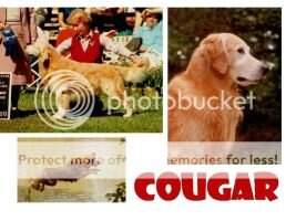 Jolly Oahu Cougar Am./Can Jolly Oahu Cougar Am./Can