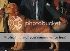 Beckwiths Justa Tuckerbear Beckwiths Justa Tuckerbear