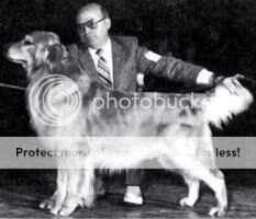 Cedar Crest's Jumpin' Jack Cedar Crest's Jumpin' Jack