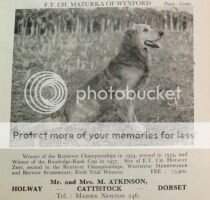 Eng. FT. CH. Mazurka of Wynford Eng. FT. CH. Mazurka of Wynford