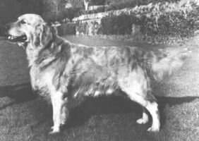Concord Of Yeo