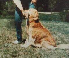 Truell Pond Lucy Of Liberator