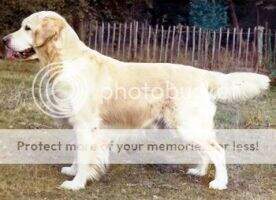 Camrose Cabus Christopher