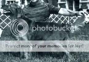 Sun Dance's Esquire