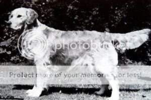 Camrose Matilda Camrose Matilda