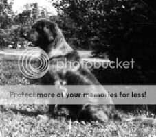 Topbrass Cisco Kid