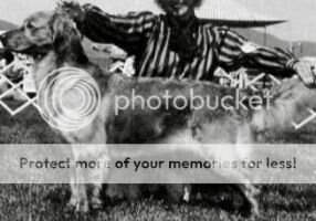 Sterling Sweet Grass Dyna Mat Sterling Sweet Grass Dyna Mat