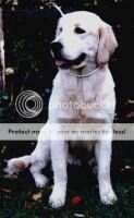 Spicewood's Grand Entrance Spicewood's Grand Entrance
