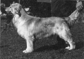 Ch. Tupelo Tahnee Tuff Cookie