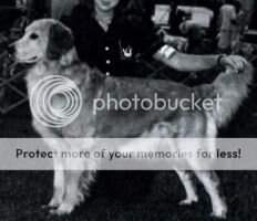 Goldenquest Sutter Creek Lyric Am/Can Goldenquest Sutter Creek Lyric Am/Can