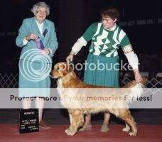 Classic Woodwing Night Watch Classic Woodwing Night Watch