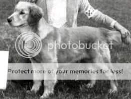 Waterford Dakotah Gold Lucy