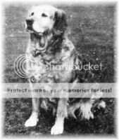 Briar Of Arbrook Briar Of Arbrook