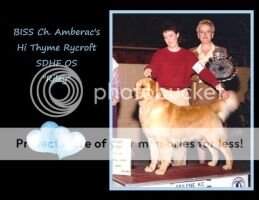 CH. Amberac's Hi Thyme Rycroft