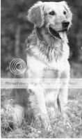 Sky-Lab Argus of Belvedere ***