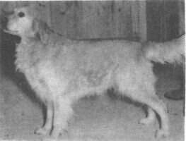 Boltby Clipper Boltby Clipper