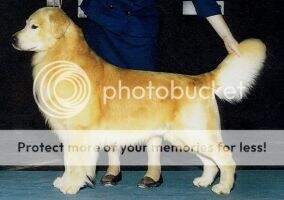 Tuxedo's Acclaim To Fame Tuxedo's Acclaim To Fame