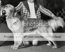 Malagold Klondike Buffy