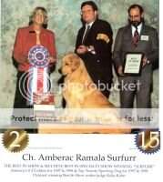 Amberac Ramala Surfurr Amberac Ramala Surfurr