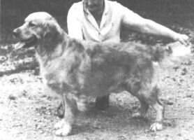 Rossbourne Timothy