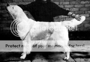 Ninell Morwenna JW Ninell Morwenna JW