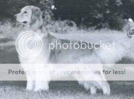 Lothlorien Edgecombe Gildor Lothlorien Edgecombe Gildor