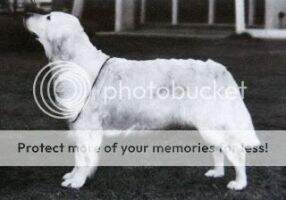 Gyrima Pippalina Gyrima Pippalina