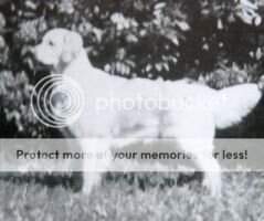 Fleur Of Milo