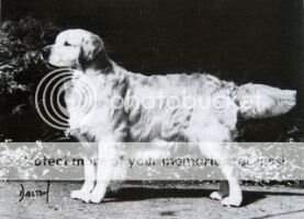 Dabess Lindley Of Honeyford Dabess Lindley Of Honeyford