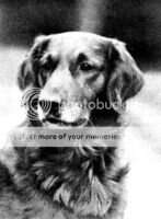 Cubbington Diver Cubbington Diver