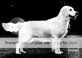Jamescroft Flaxen Girl
