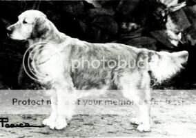 Cattrysse Mr. Rochester