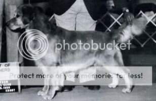 Truly Sundasher Exacta Truly Sundasher Exacta