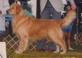 Smithaven's Benchmark Caper