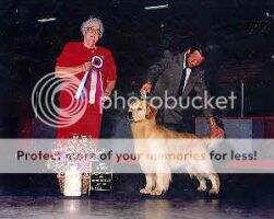 & Glynspur Ghost Buster