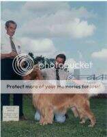 Pepperhill Yankee O'goldtrak Pepperhill Yankee O'goldtrak