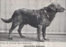 Haughton Michael Haughton Michael