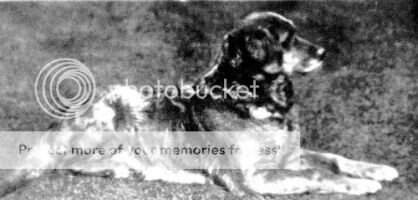 Bess Of Kentford Bess Of Kentford