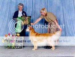 Verdoro's Atocha's Treasure