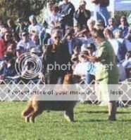 Pebwin Making The Odds Pebwin Making The Odds