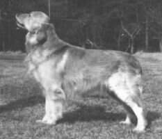 Stolford Flint