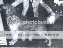 Beckwith's Duke Of York