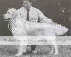 Fenwood Jagger Of Canina JW Fenwood Jagger Of Canina JW