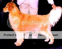 Tuxedo's Tequila Sunrise Tuxedo's Tequila Sunrise